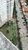 Apartamento, 2 quartos, 53 m² - Foto 15