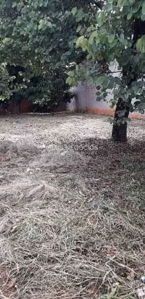 Terreno, 300 m² - Foto 3