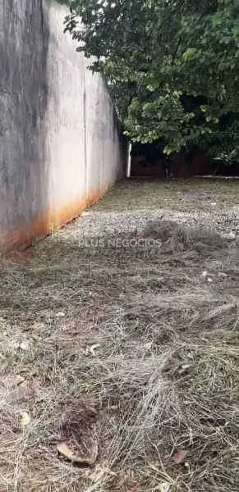 Terreno, 300 m² - Foto 4