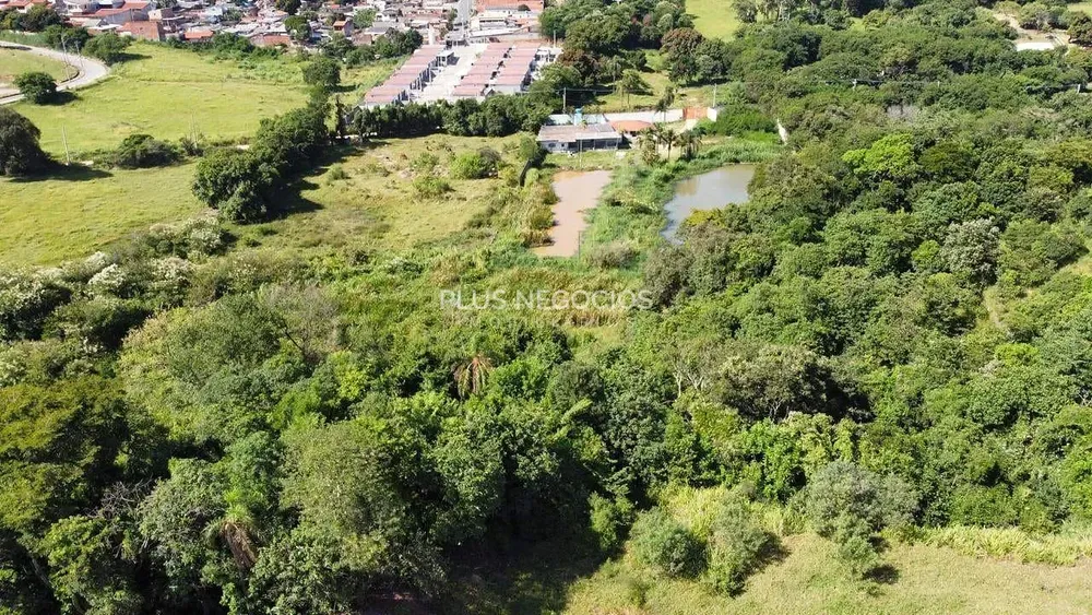 Terreno, 3 hectares - Foto 6