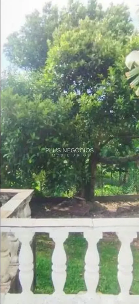 Chácara, 3 quartos, 10 m² - Foto 6