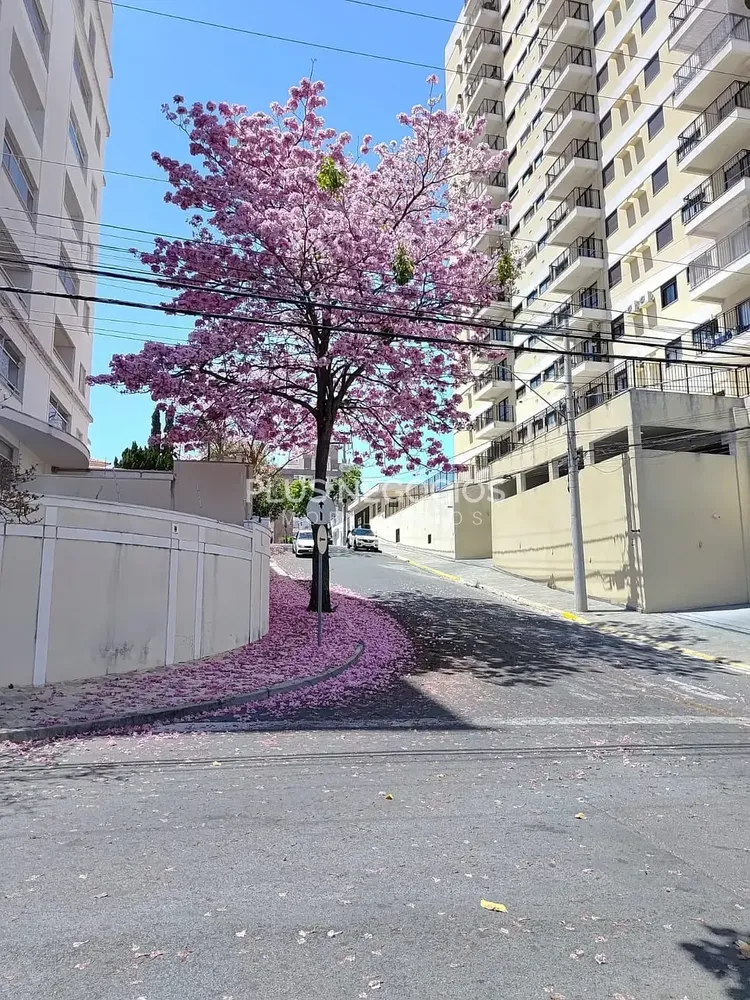 Apartamento, 3 quartos, 101 m² - Foto 10