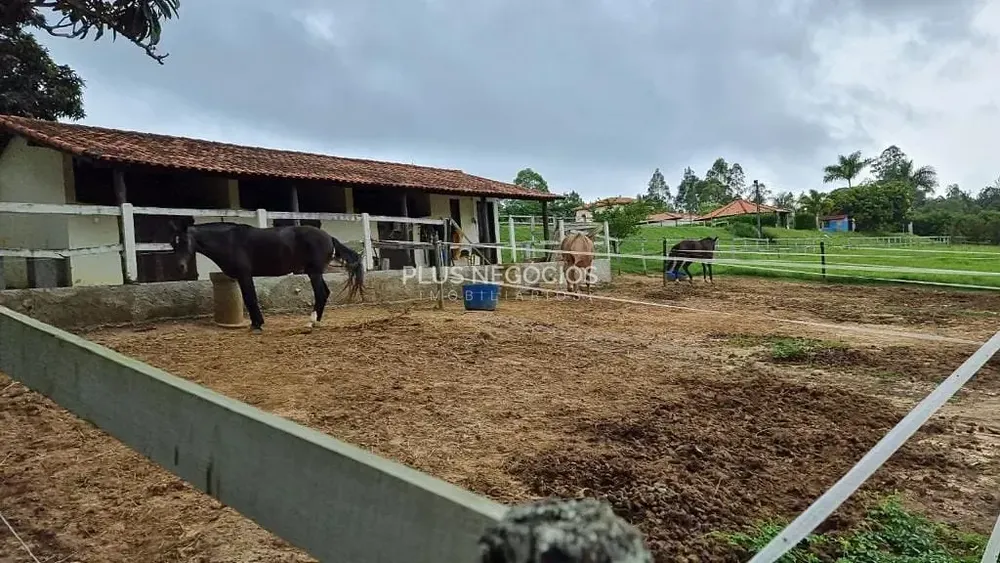 Sítio, 4 quartos, 2 hectares - Foto 1