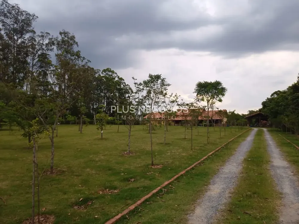 Sítio, 4 quartos, 10000 m² - Foto 6