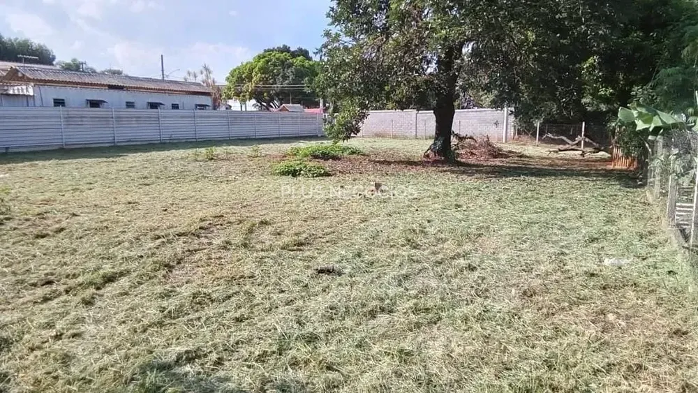 Terreno, 1000 m² - Foto 4