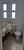 Apartamento, 3 quartos, 120 m² - Foto 17