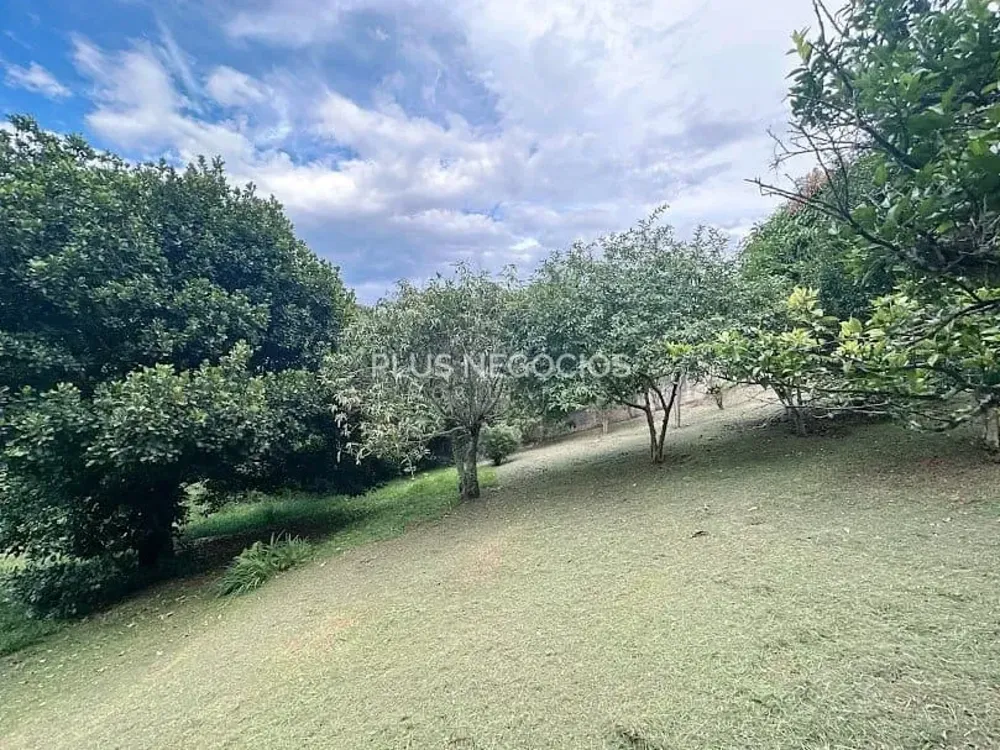Casa, 5 quartos, 240 m² - Foto 9