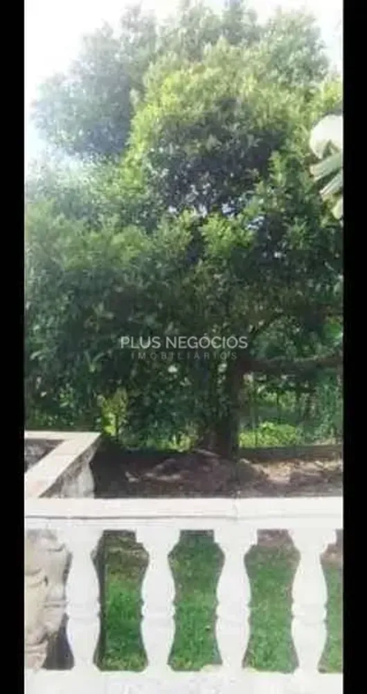 Chácara, 3 quartos, 1 hectares - Foto 7