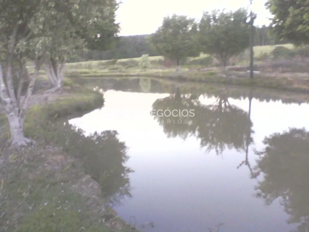 Chácara, 5 quartos, 8 hectares - Foto 7