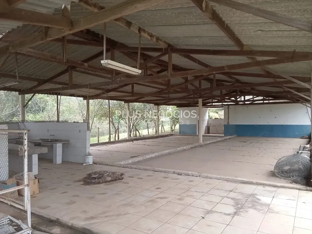 Chácara, 8 quartos, 7 hectares - Foto 3
