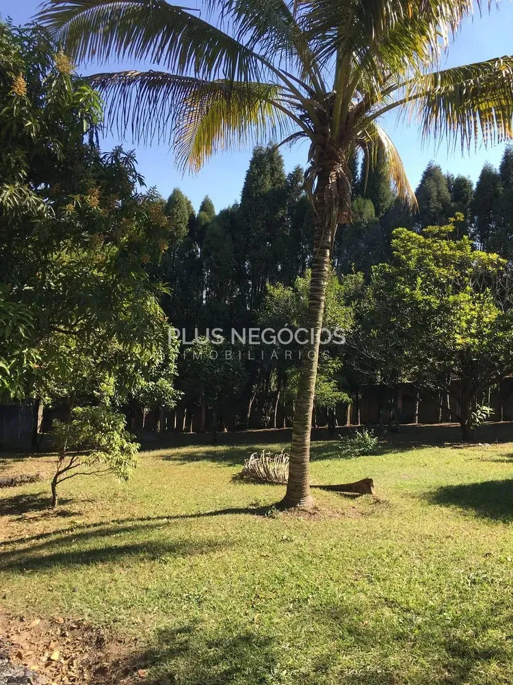 Chácara, 4 quartos, 4000 m² - Foto 1
