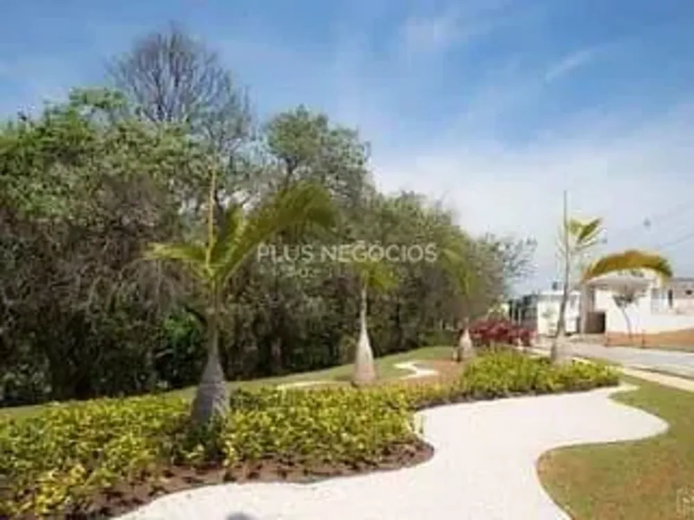 Terreno, 300 m² - Foto 4