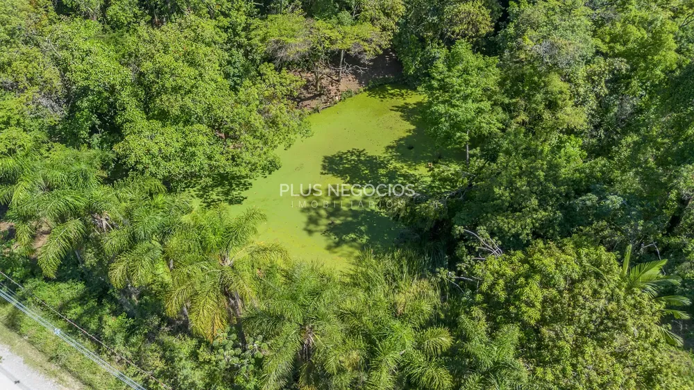 Chácara, 4 quartos, 2 hectares - Foto 1