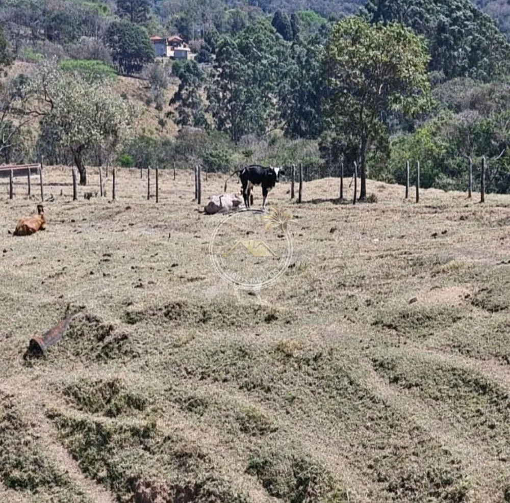 Fazenda, 8 hectares - Foto 4