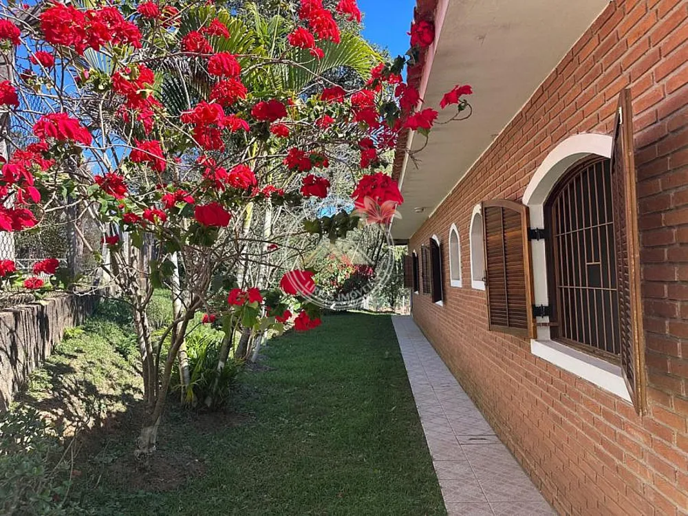Sítio, 3 quartos, 1846 m² - Foto 4