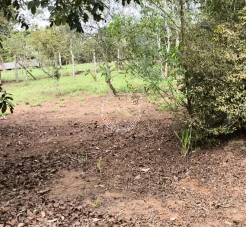Fazenda, 3 hectares - Foto 3