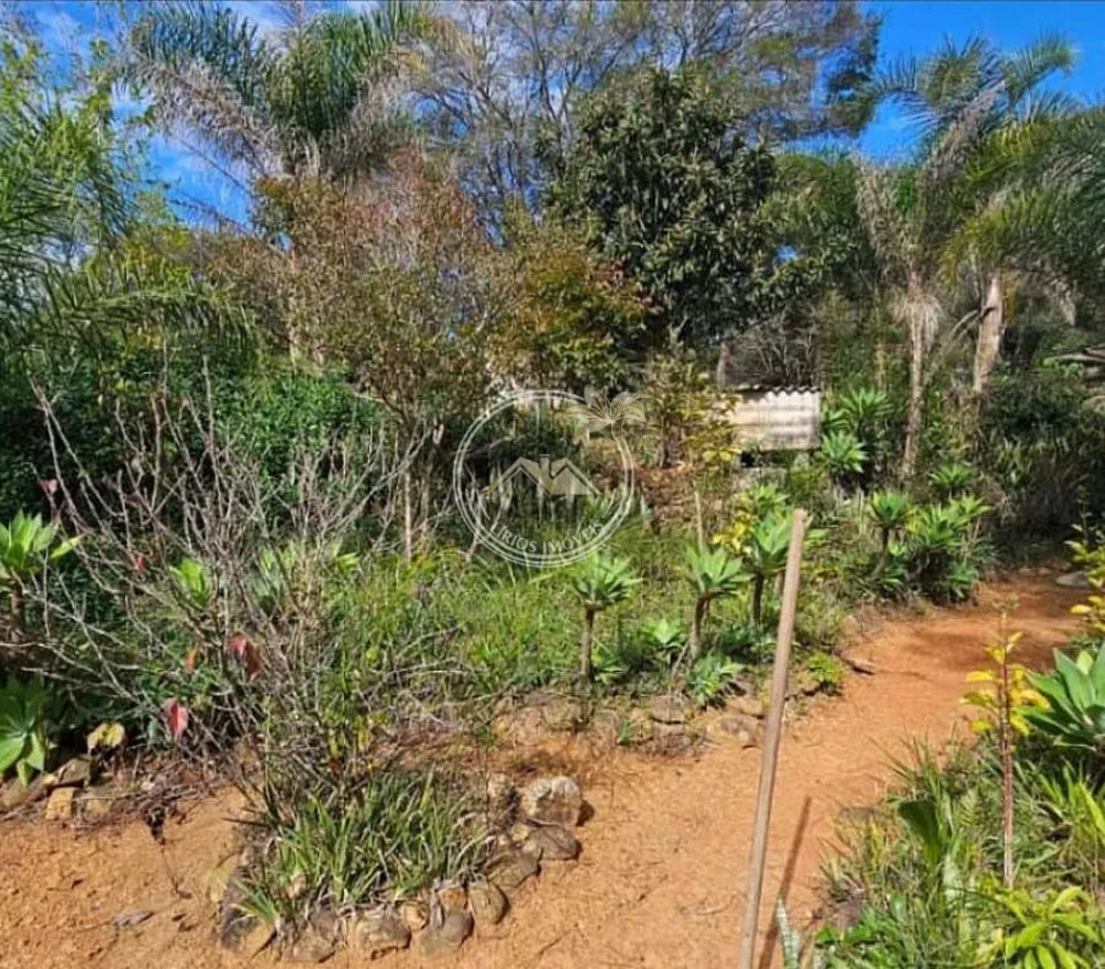 Fazenda, 3 hectares - Foto 4