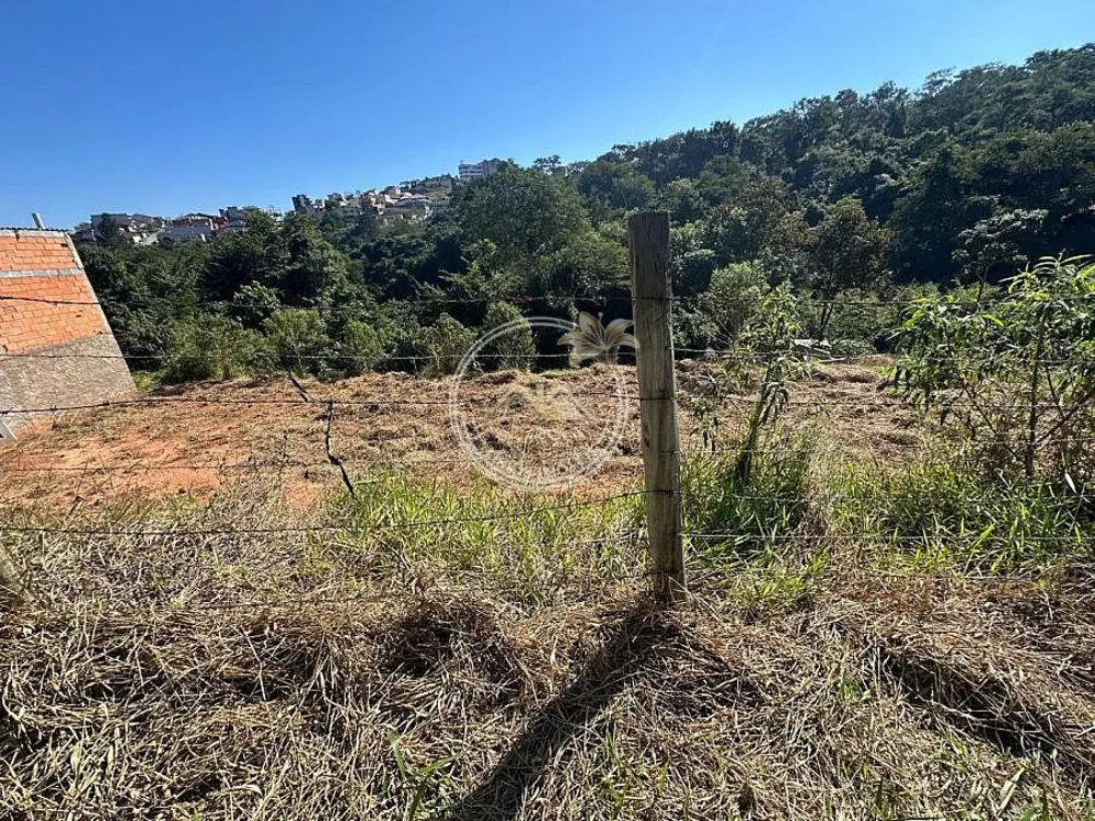 Terreno, 496 m² - Foto 3
