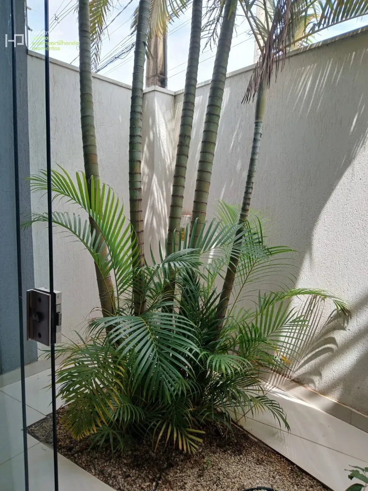 Casa, 4 quartos - Foto 7