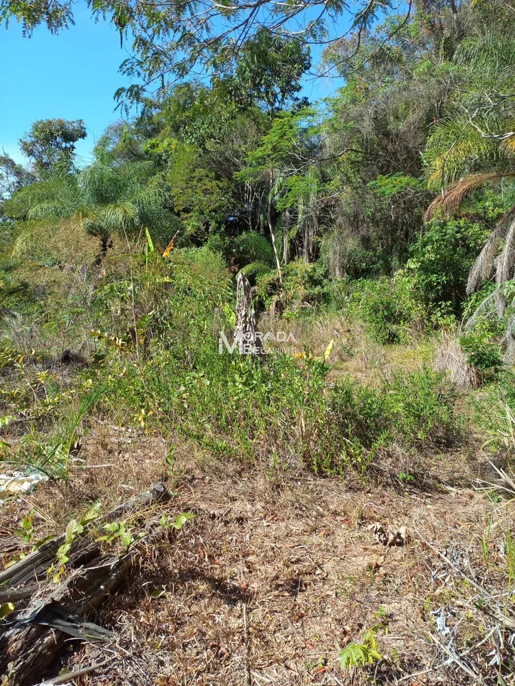Terreno, 9650 m² - Foto 5