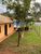 Casa, 2 quartos, 220 m² - Foto 2