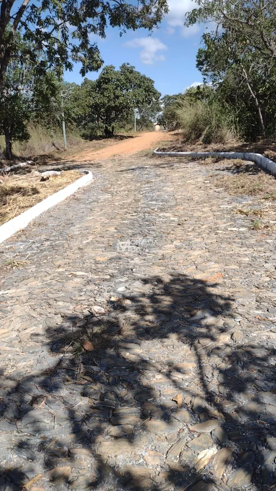 Terreno, 2 hectares - Foto 4
