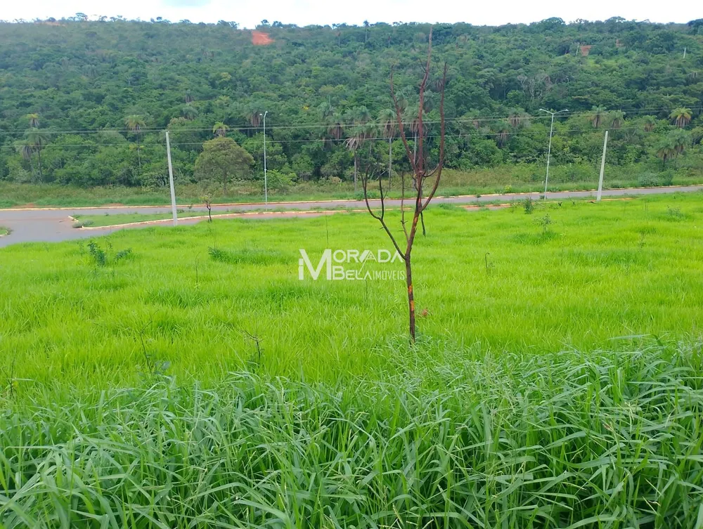 Terreno, 439 m² - Foto 1