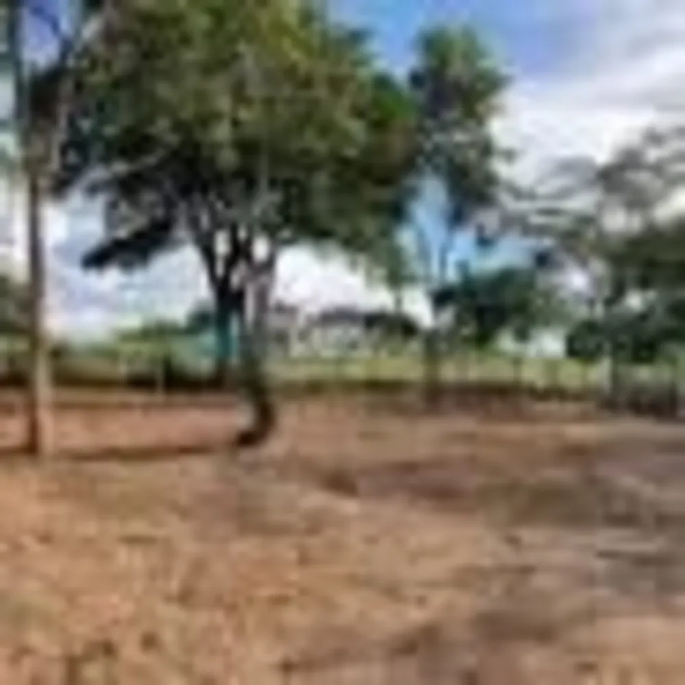 Terreno, 360 m² - Foto 5