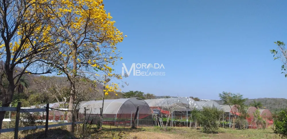 Fazenda, 2 hectares - Foto 7