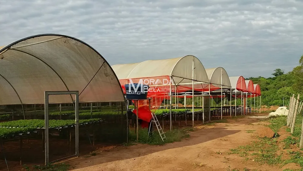Fazenda, 2 hectares - Foto 6