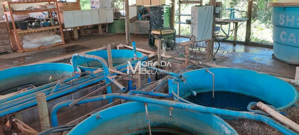 Fazenda, 2 hectares - Foto 12