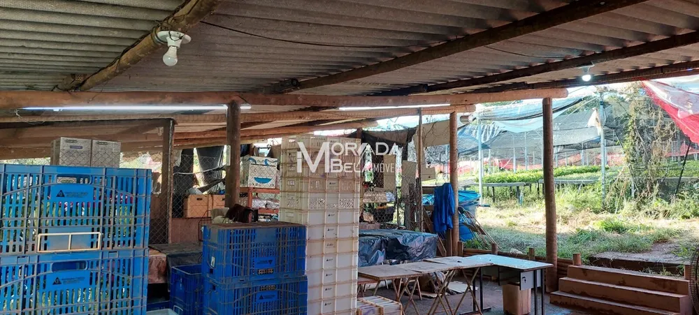 Fazenda, 2 hectares - Foto 14