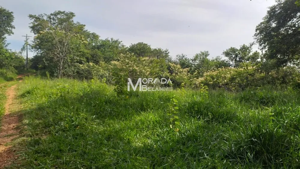 Terreno, 4 hectares - Foto 3