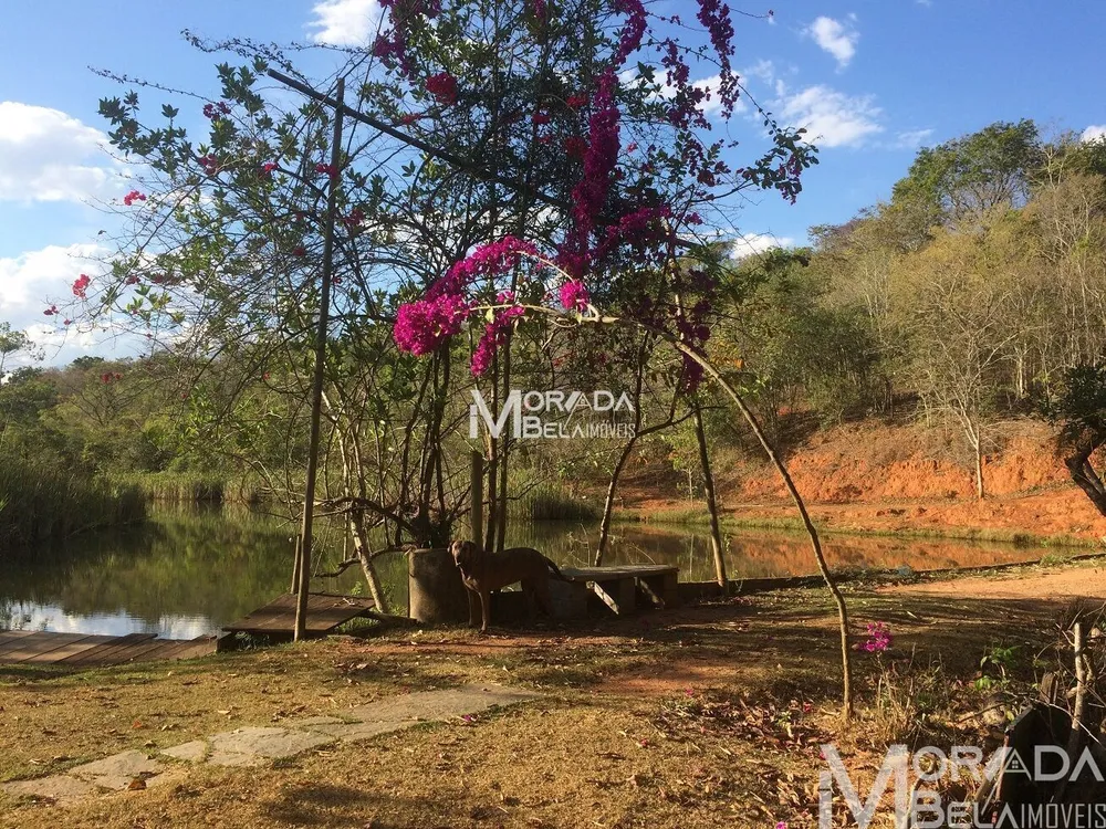 Terreno, 4 hectares - Foto 1