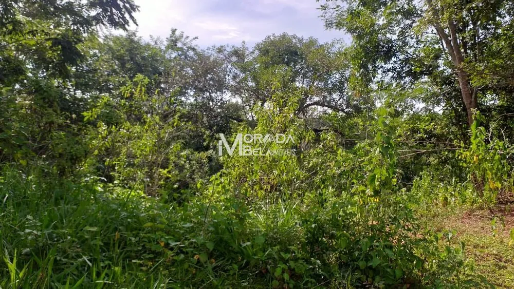 Terreno, 4 hectares - Foto 6