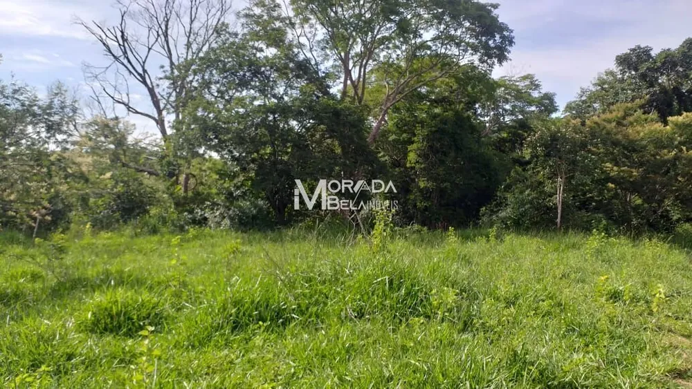 Terreno, 4 hectares - Foto 8