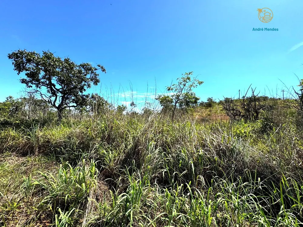 Terreno, 2 hectares - Foto 3