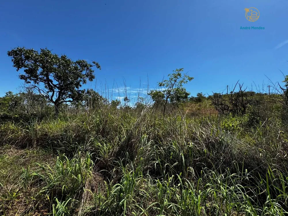 Terreno, 2 hectares - Foto 10
