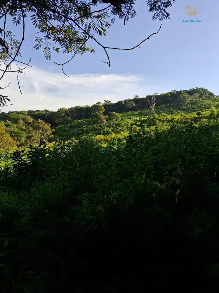 Sítio, 4 quartos, 23 hectares - Foto 1