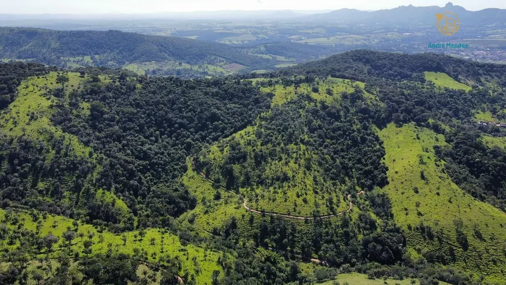 Fazenda, 40 hectares - Foto 1