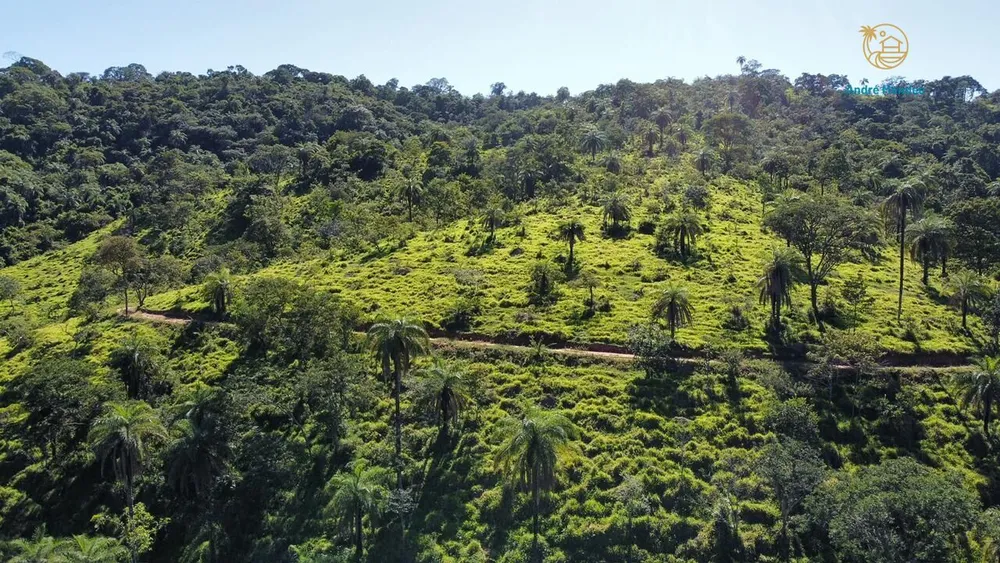 Fazenda, 40 hectares - Foto 12