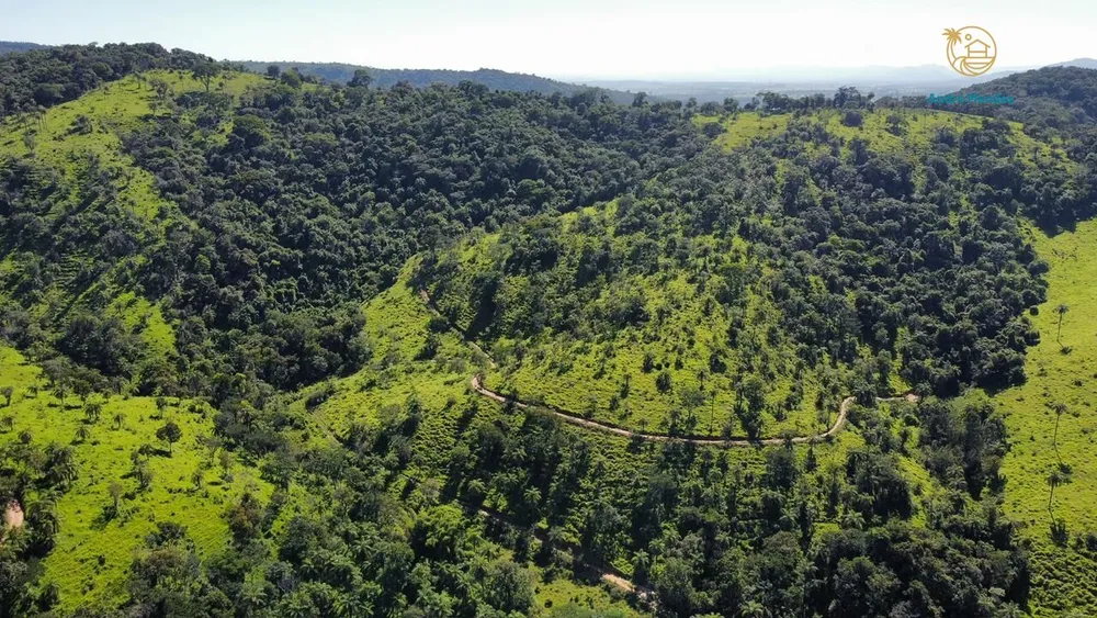 Fazenda, 40 hectares - Foto 15