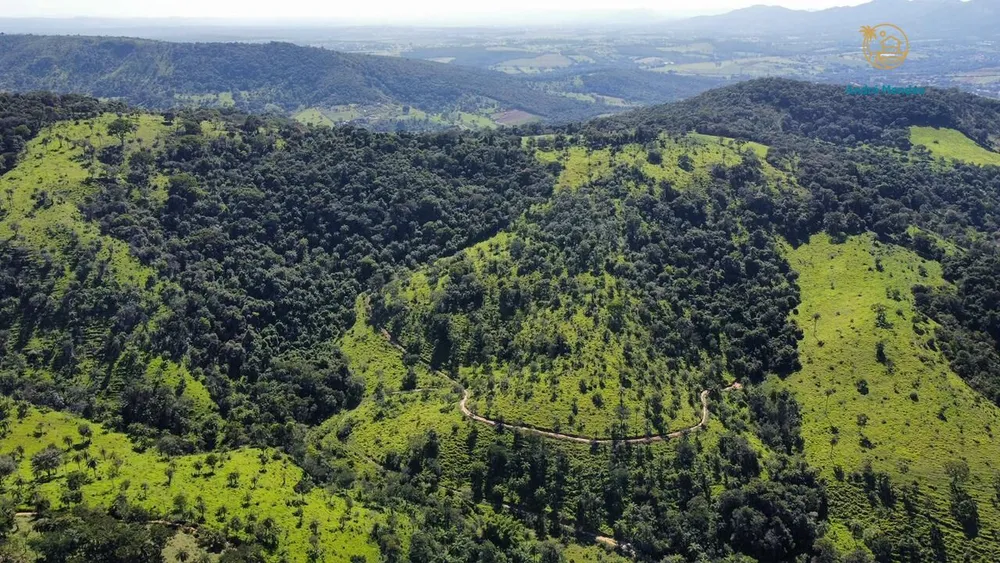 Fazenda, 40 hectares - Foto 14