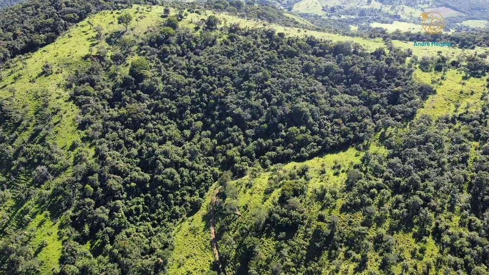 Fazenda, 40 hectares - Foto 11