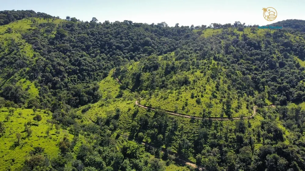 Fazenda, 40 hectares - Foto 8