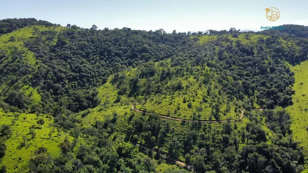 Fazenda, 40 hectares - Foto 7