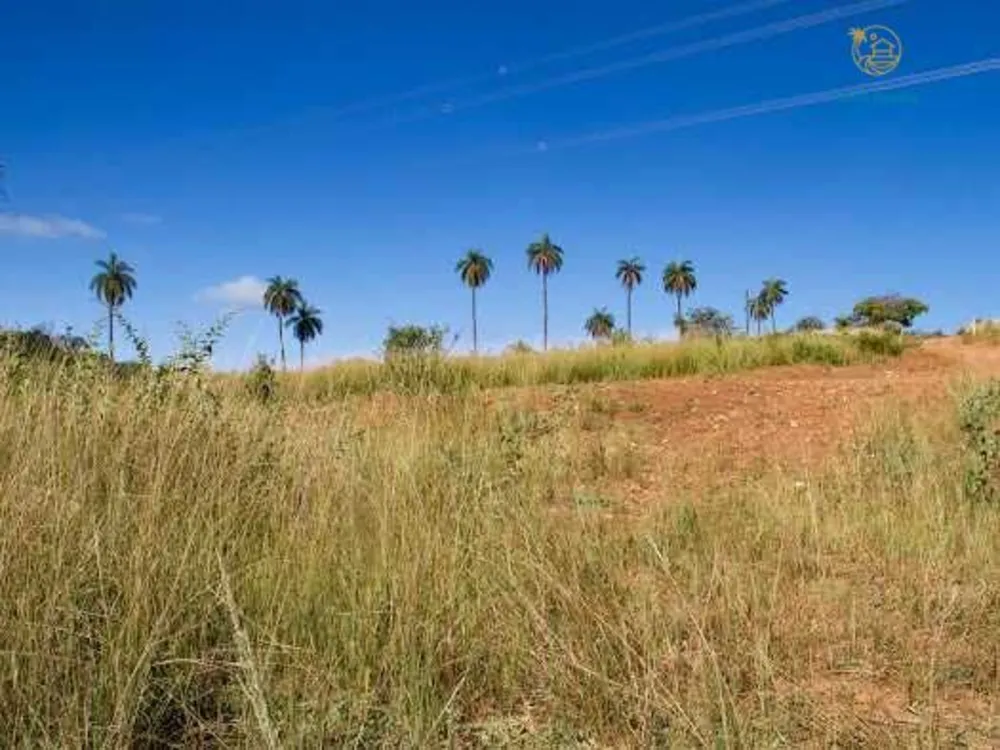 Sítio, 2 hectares - Foto 13
