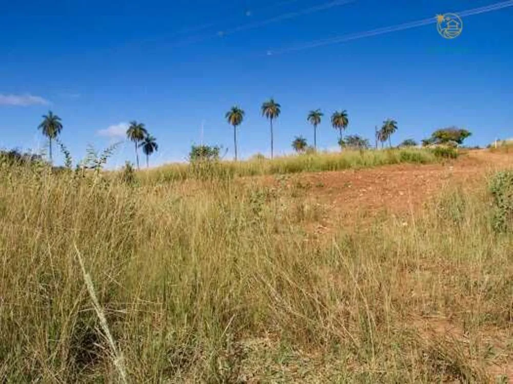 Sítio, 2 hectares - Foto 12