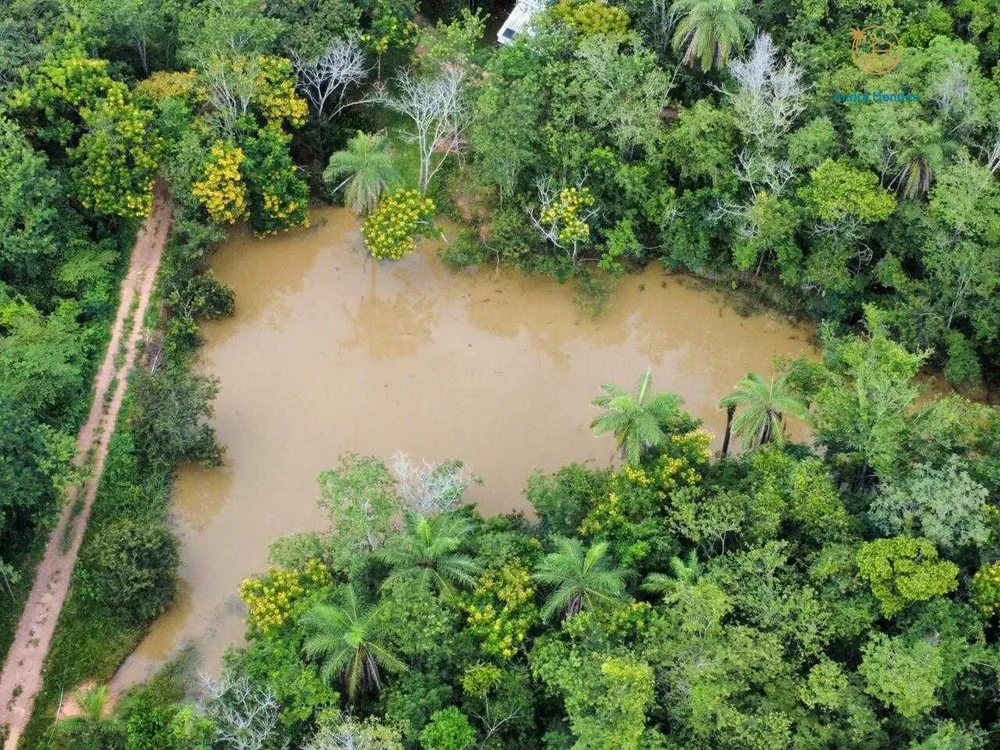 Fazenda, 37 hectares - Foto 12