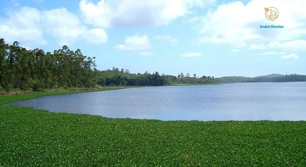 Terreno, 360 m² - Foto 7